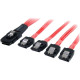 STARTECH SAS CABLE SFF-8087 TO 4X SATA