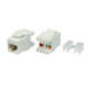 Linkbasic Keystone Jack UTP cat. 5e (1xRJ-45) 180° JKA09-UC5E