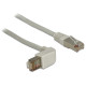 Delock Cable RJ45 Cat.5e SFTP angled / straight 2 m 83516