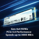 Kingston NV2 M.2 NVMe 250GB SNV2S/250G